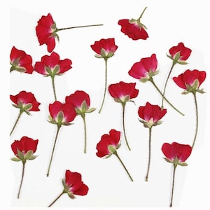 60Pcs Real Pressed Dried Flower, Mini Roses, Natural Branches, DIY Resin Crafts, Jewelry Making Accessories, Wedding Invitations Decorations