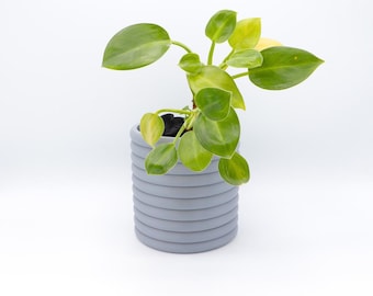 Plant pot - the Poppy