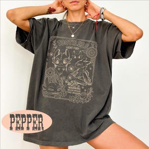Toothless and Nigtfurry Tshirt, Warning Never Engage This Dragon Shirt, Birthday Party Tee, How To Train Your Dragon Shirt, Gift hor Her