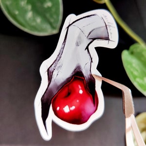 Adesivos de Bruxa Branca de Neve - Lindos Adesivos de Vinil À Prova D'Água Exclusivos para Laptops, Diários e Decoração