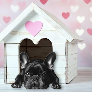 以下が含まれることがあります： 白い木製の犬小屋から顔を出す黒いフレンチブルドッグ。屋根にはピンクのハートが描かれています。背景は、ピンクと白のハートが散りばめられたソフトピンクのグラデーションで、バレンタインデーのテーマを演出しています。
