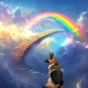 以下が含まれることがあります： 空に虹がかかった雲の道に、ジャーマンシェパードの犬が座っています。道は石でできており、雲に囲まれています。