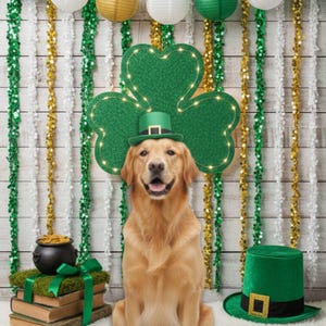 Puede incluir: Un golden retriever con un sombrero verde de duende, sentado frente a una gran decoración de trébol. También hay una olla de oro, libros y un sombrero verde, con decoraciones festivas en el fondo. La imagen tiene un tema del Día de San Patricio.