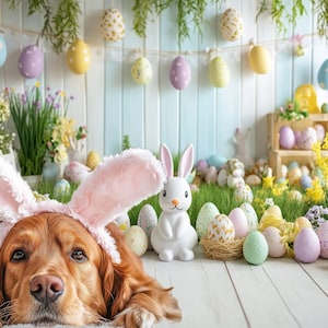 Könnte beinhalten: Ein Golden Retriever mit rosa Hasenohren sitzt vor einem weißen Holz Hintergrund, der mit pastellfarbenen Ostereiern und einem weißen Keramik-Hasen dekoriert ist.