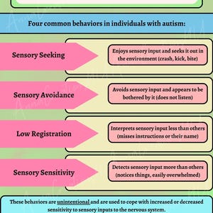 Autism Spectrum Sensory Processing Disorder BUNDLE, Classroom ...