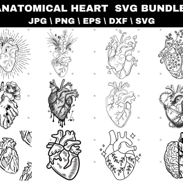Anatomical Heart SVG Bundle: Clip Art Decal (Digital Files)