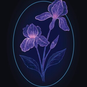 May include: A digital illustration of two purple iris flowers with glowing pink centers, set against a dark background. The flowers are framed by a thin, light blue oval outline, creating a luminous effect with visible petal textures.