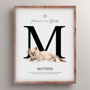 Impresión personalizada de retrato conmemorativo del gato, póster de carta inicial personalizada, simpatía por la pérdida de mascotas, en memoria amorosa, puente arcoíris, amado para siempre