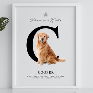 Impresión personalizada de retrato conmemorativo del perro, cartel de carta inicial personalizada, simpatía por la pérdida de mascotas, en memoria amorosa, puente arcoíris, amado para siempre