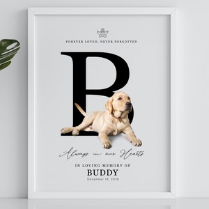 Impresión personalizada de retrato conmemorativo de mascotas, retrato de perro gato, póster de carta inicial personalizado, simpatía por pérdida de mascotas, en memoria amorosa
