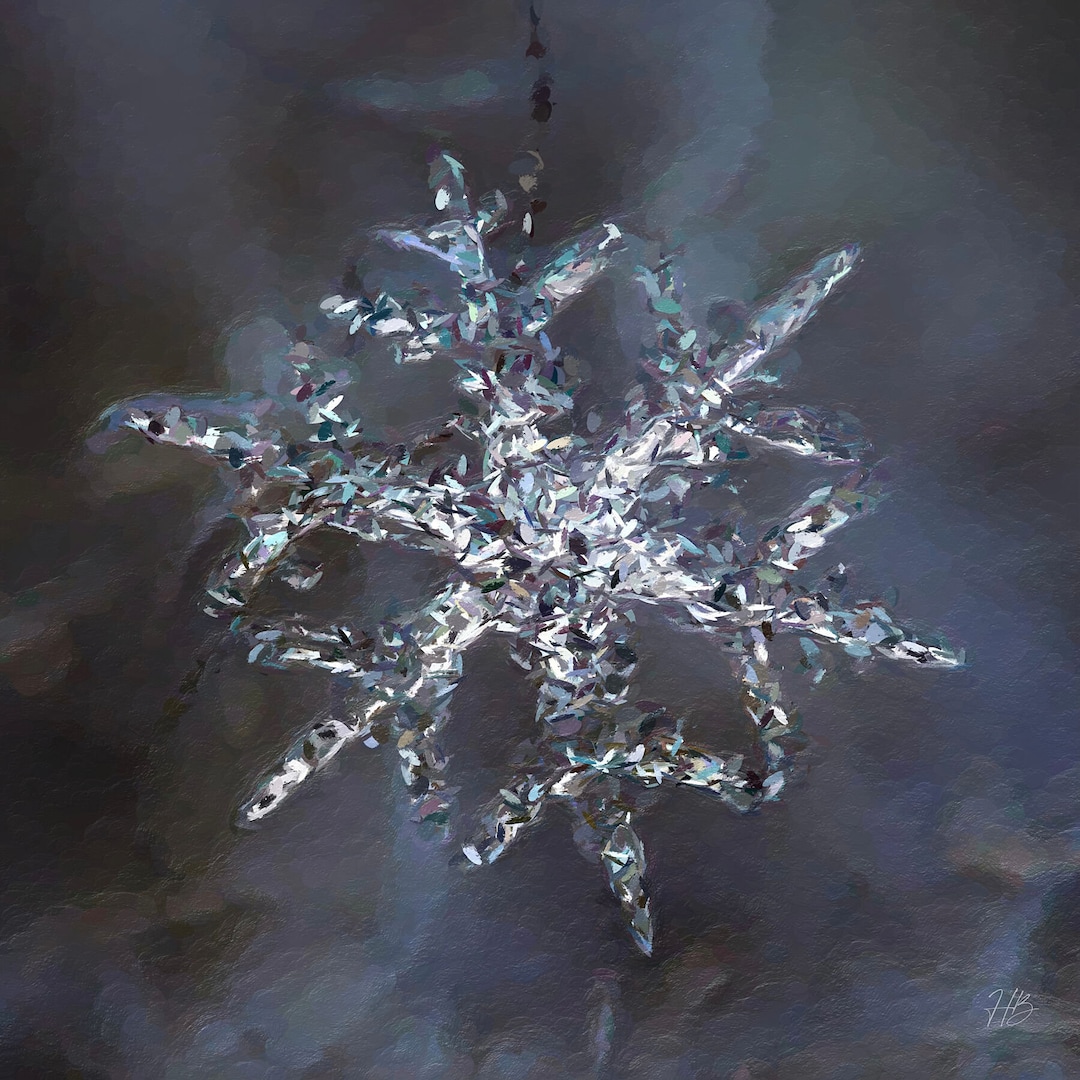 Snowflake Wall Art Painting Original Framed Fine Art Print winter's ...