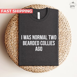 Peut inclure: T-shirt gris foncé avec le texte "J'étais normal deux collies barbus il y a" imprimé en blanc.