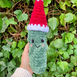 Crochet Pickle Plushie, Large Pickle Plushie, Pickle Family, Pickle Stuffed  Animal, Pickle Plush, Crochet Pickle, Pickle Food, Pickle Gift
