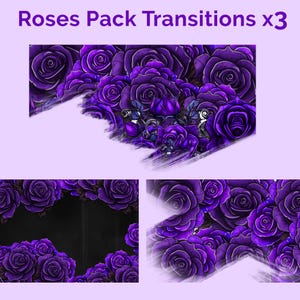 May include: A digital art pack featuring three different designs with purple roses. The top design has a brushstroke effect, the bottom left design has a black background, and the bottom right design has a white background. The text "Roses Pack Transitions x3" is at the top.
