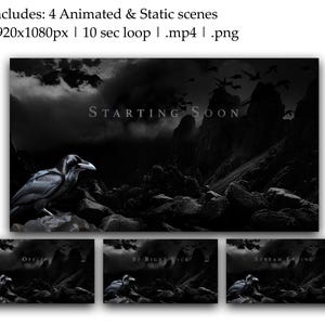 Black Raven Animated Stream Pack | Gothic Crow Overlays, Scenes, Alerts (Twitch, OBS) image 2