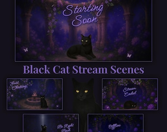 Purple Celestial Garden / 5 scene animate in streaming / Pacchetto streaming Mystic Black Cat