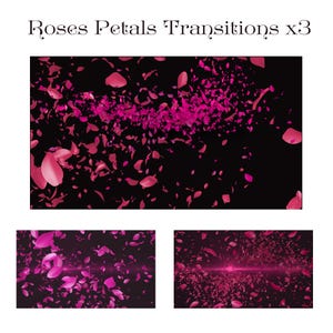 May include: Three images of pink rose petals falling against a black background. The first image shows a stream of petals falling from the top of the image to the bottom. The second and third images show a more scattered pattern of petals falling from the top of the image to the bottom.
