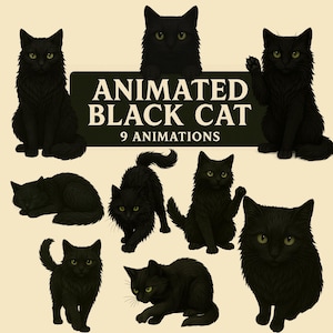 Black Cat twitch-överlägg: 9 tecken Stream-överlägg, WebM Transparent bakgrund