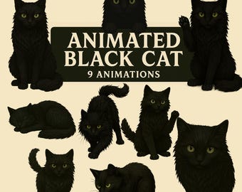 Black Cat Twitch Overlays: 9 Zeichen im Stream, WebM Transparenter Hintergrund