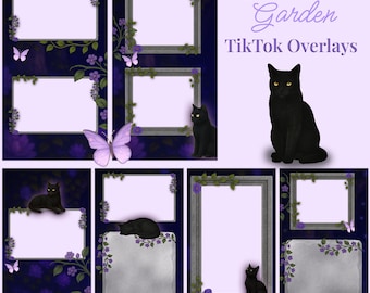 Sovrapposizione TikTok / Gatto nero, Giardino floreale viola, Celeste / Schermate di flusso verticale
