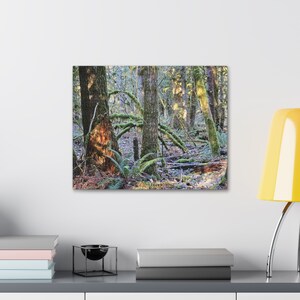 Canvas Stretched, 1.5&#39;&#39; thick for home Decor: Moss grown on rocks and trees in the lush forests of Washington state