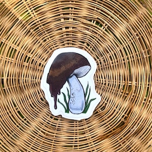 Trippy Mushroom Art Print Sticker