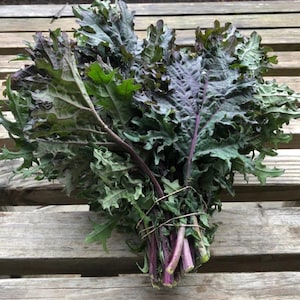 May include: A fresh bunch of kale with green and purple leaves, tied together with a natural twine. The kale is displayed on a weathered wooden surface, showcasing its vibrant colors and textures.
