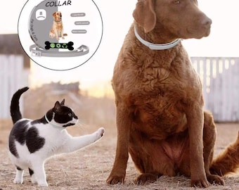 Adjustable Anti-Flea Pet Collar: Natural Essential Oil, Water Resistant