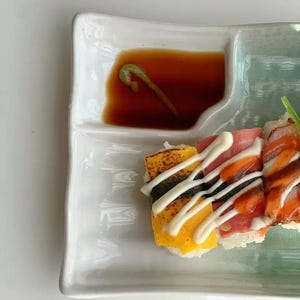 Asian Ceramic Plate with Built-In Sauce Dish | Rectangular Serving Dish – Japanese Style Sushi Tray for Appetizers, Gyoza