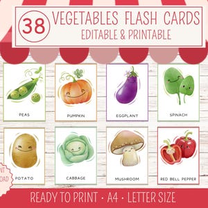 38 Schede didattiche di verdure, Schede illustrate per bambini, Scuola materna, Schede di nomenclatura, Attività stampabili Montessori, Schede di verdure, Schede con i nomi