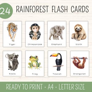 24 Rainforest Animals Flash Cards, Jungle Animals Flash Cards, Educational Printable Cards, Montessori Materials, Wild Animals Flash Cards
