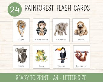 24 flitskaarten regenwouddieren, flitskaarten jungledieren, educatieve afdrukbare kaarten, montessorimateriaal, flitskaarten wilde dieren