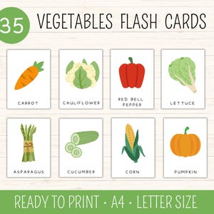 35 Schede didattiche di verdure, Schede illustrate per bambini, Scuola materna, Schede di nomenclatura, Attività stampabili Montessori, Schede di verdure, Schede con i nomi