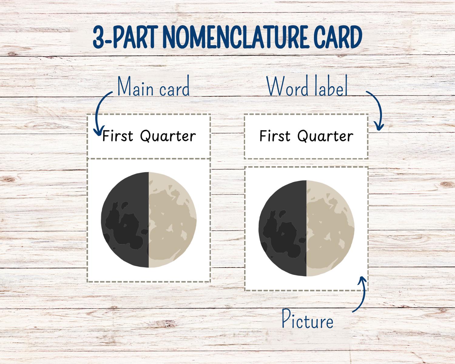 Solar System Activity Pack, Space Unit Study, Solar System Model and ...