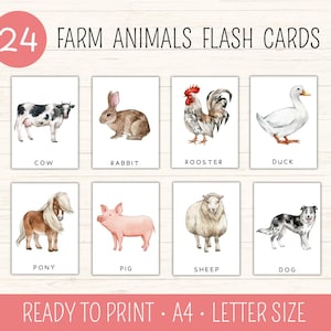 24 Farm Animals Flash Cards, Montessori Flash Cards, Teaching Animals, Toddler Education, Preschool Learning Materials, Classroom Resource