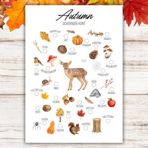 May include: A printable autumn scavenger hunt checklist with illustrations of fall foliage, animals, and objects. The checklist includes items like a brown leaf, ant, pumpkin, pine cone, branch, stick, chestnut, deer, mushroom, spider web, yellow leaf, snail, acorns, feather, red leaf, red apple, nuts, spider, squash, squirrel, and tree stump.
