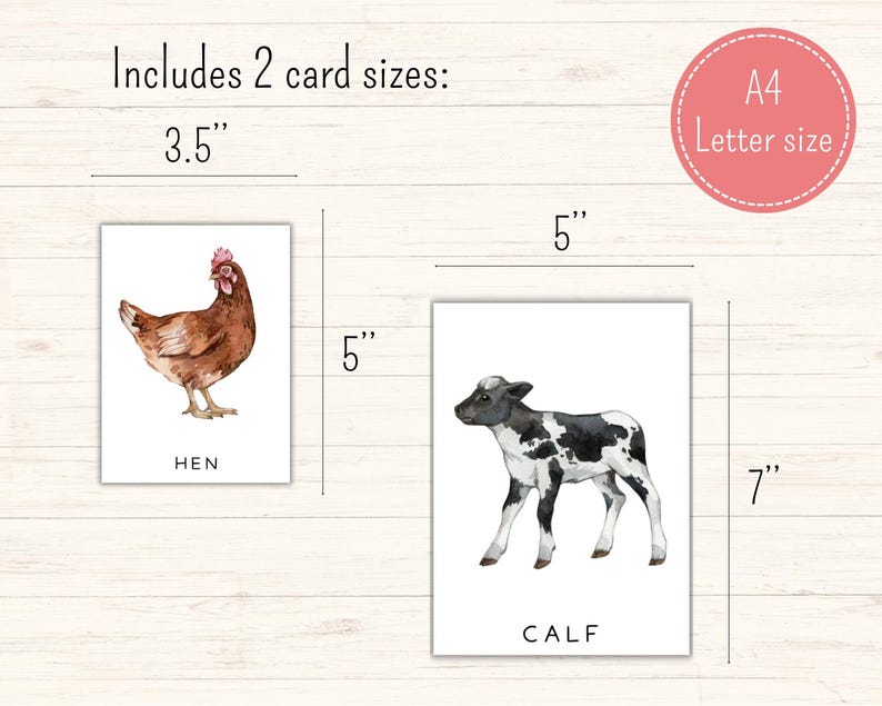 May include: Two printable cards featuring watercolor illustrations of a hen and a calf. The cards are available in two sizes: 3.5 inches by 5 inches and 5 inches by 7 inches.