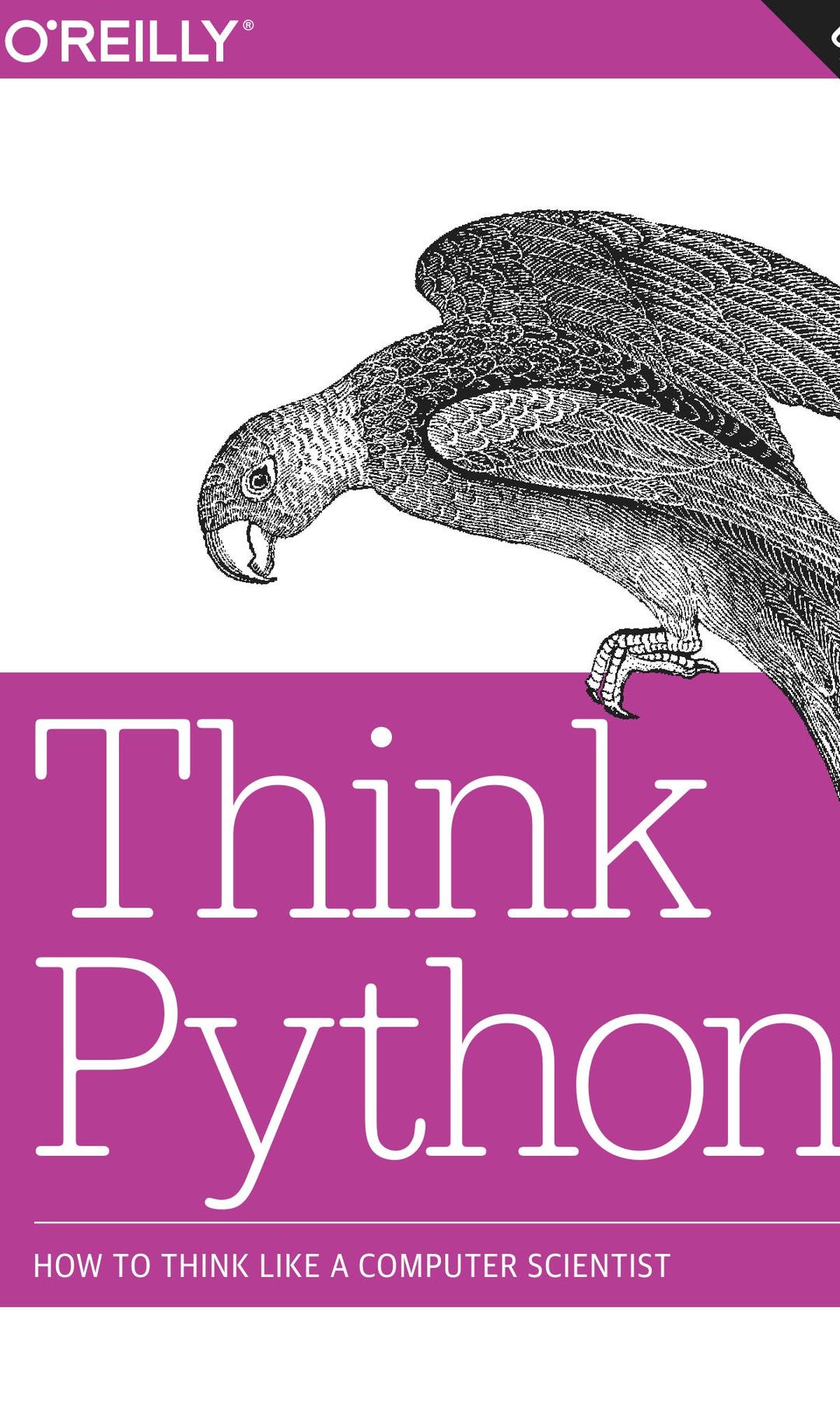 Think Python | Learn Python Programming From Scratch | Digital PDF ...