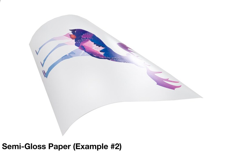 Postal Video Game Rolled Poster, Matte Semigloss 11x14, Retro Gamer