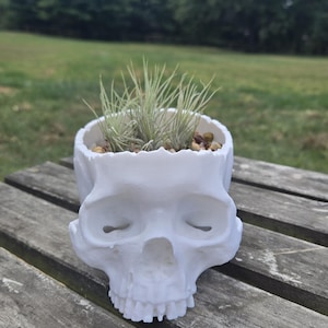 May include: A white skull-shaped planter filled with small plants and pebbles. The planter is made of a smooth, matte material and sits on a weathered wooden surface. The background features green grass and trees under a blue sky.