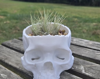 Halloween Skull Candy Bowl | Skull Planter | Spooky Decor