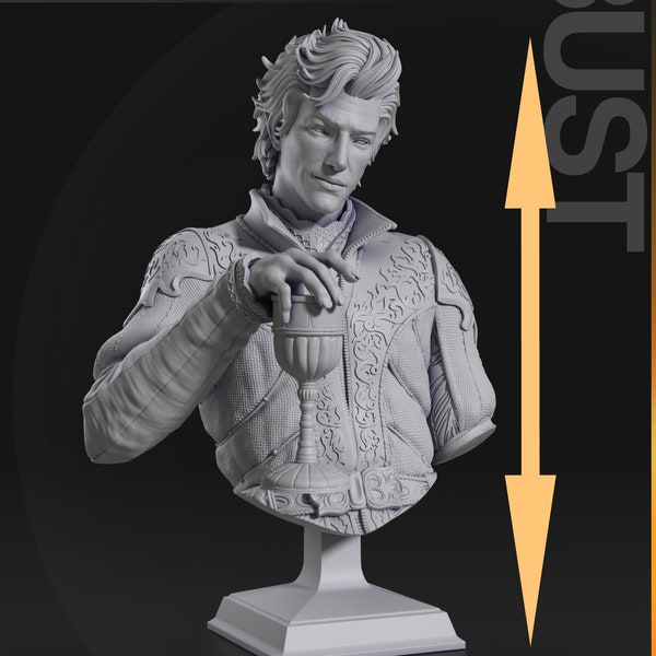 Astarion Baldurds Gate 3 - Büste\Bust Biggest Version on Etsy - H252 W190 L170 Split 5 Parts - 12K Res. 3D Print ABS-Like & HD Resin -FanArt