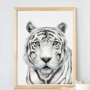 Pintura de acuarela de tigre blanco