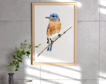 May include: A watercolor painting of a bluebird perched on a branch. The bird has a blue head and back, a brown breast, and a long, thin beak. The branch is brown and bare.