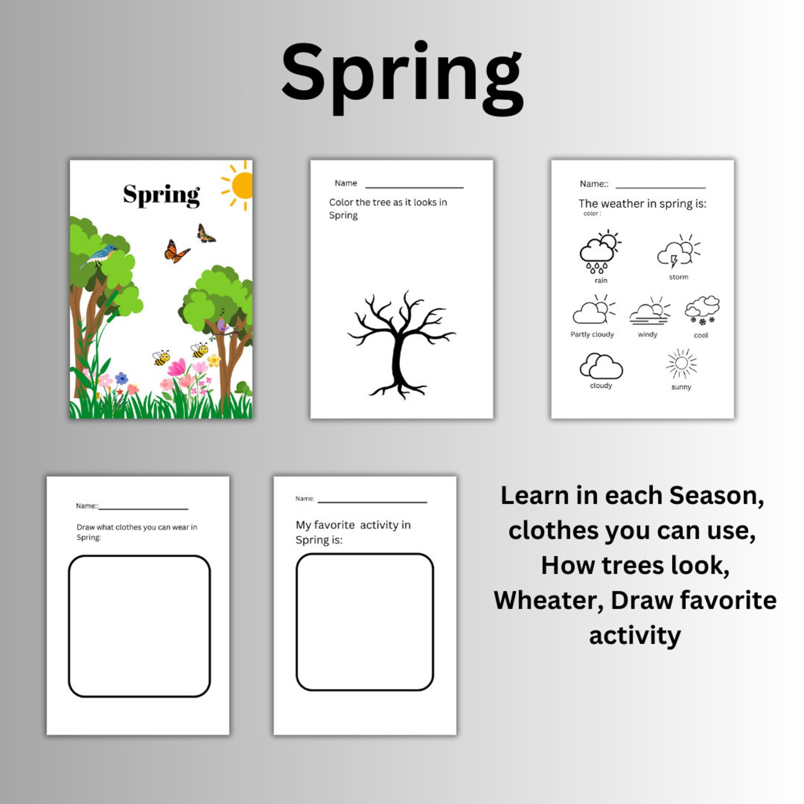 The 4 Seasons of the Year Printable Worksheet, Downloadable, Spring ...