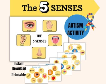 Actividades de aprendizaje de los 5 sentidos: autismo y educación especial. Descarga en formato PDF imprimible. Hoja de trabajo digital colorida para estudiantes de primaria. Los 5 sentidos.
