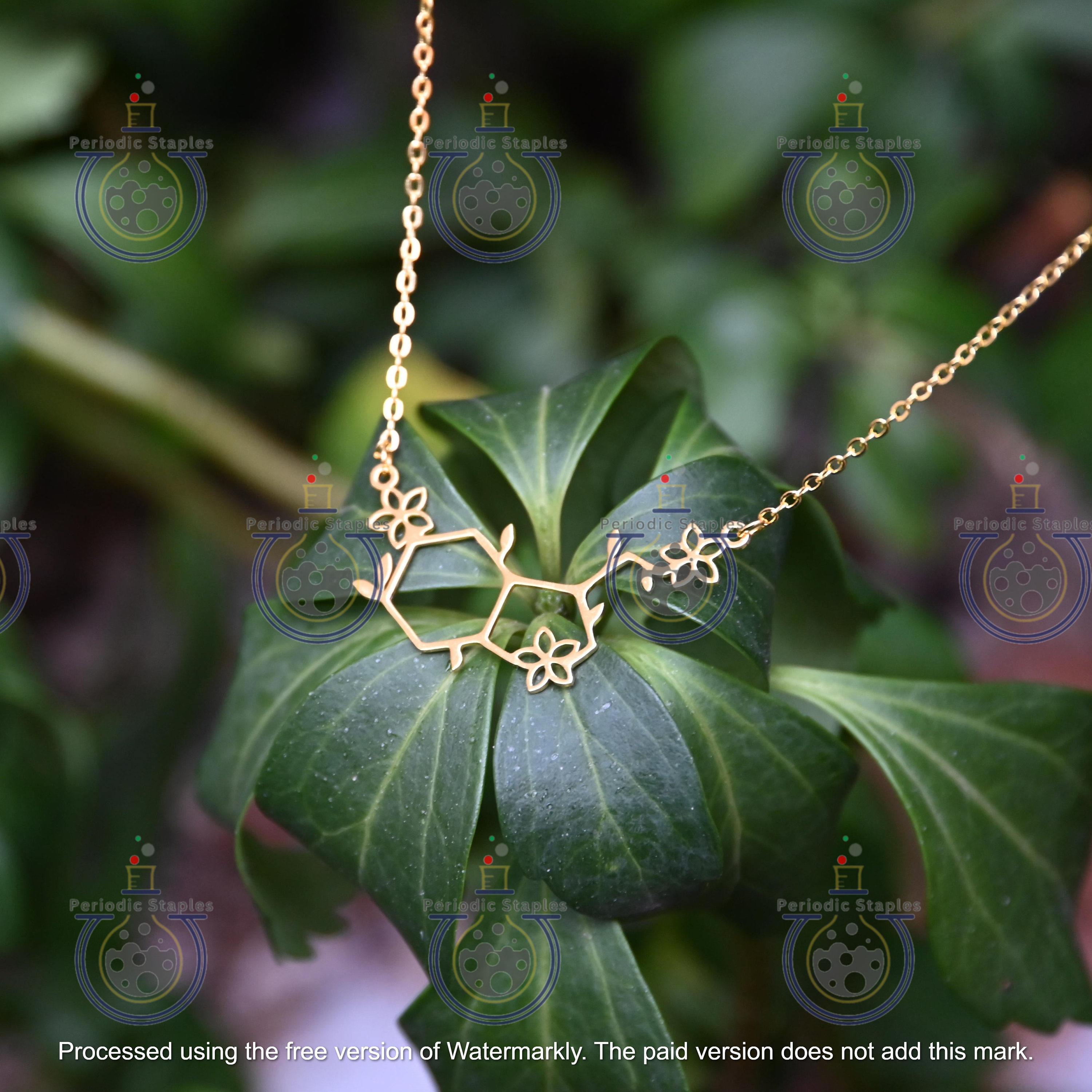 Jewelry science deals jewelry