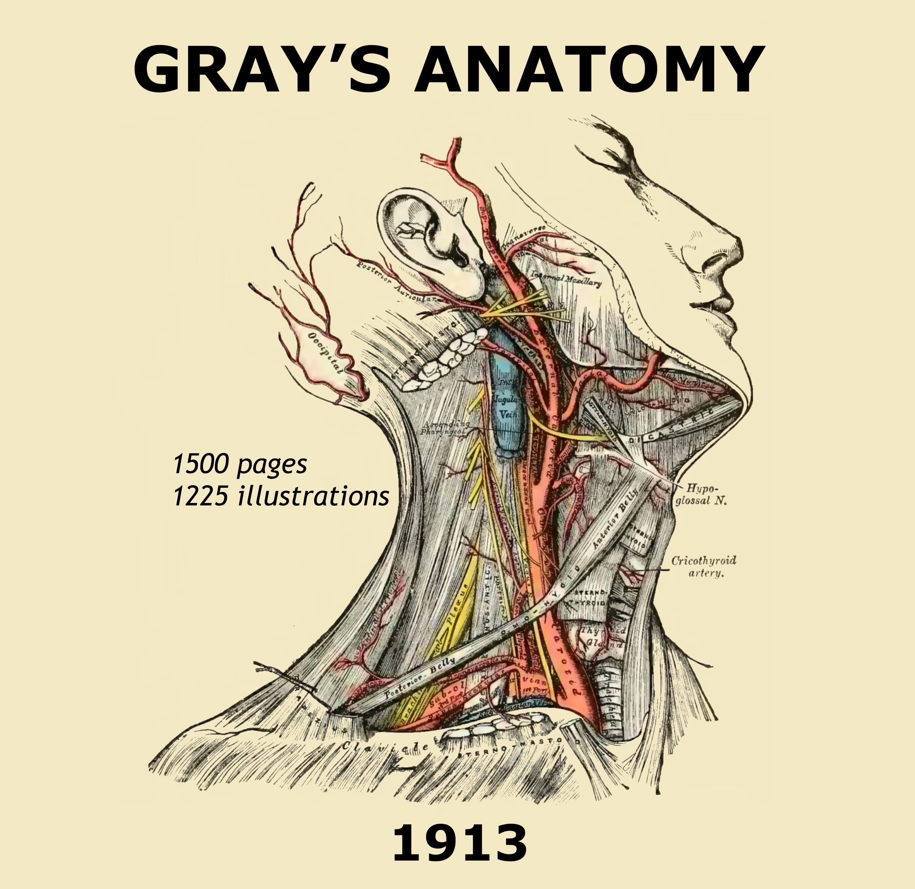 激レア‼️ANATOMIA『GRIEF ANATOMY』 il_fullxfull.6717035948_p48l.jpg