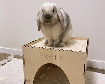 Bunny House Rabbit House Small Pet House Vector Files for Laser