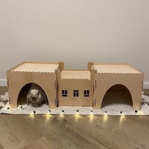 May include: A wooden rabbit house with the name "Montis" engraved on the side. The house has a scalloped roof and flower cutouts. A small rabbit is inside the house. String lights are placed in front of the house.